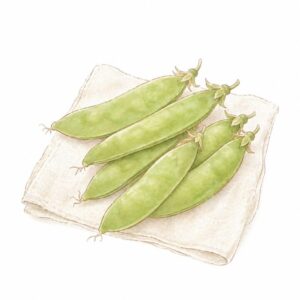 緑色の美しいきぬさやが６本ハンカチの上にある。