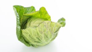 外葉が付いた状態のみずみずしいキャベツ。葉が柔らかそうで美味しそう。